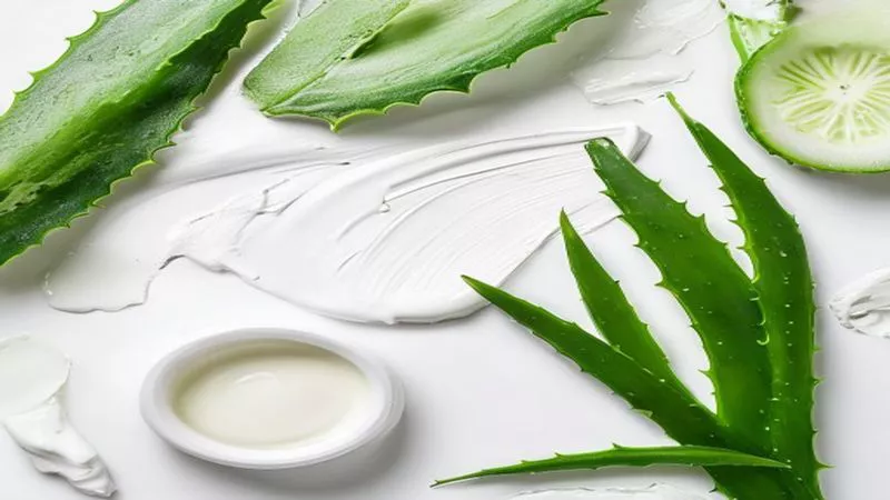 Phân tích y khoa hình ảnh Retinol Cho Da: Top 4 Chống Lão Hóa Hiệu Quả